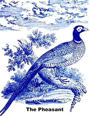 Hunt for pheasants to provide meat.